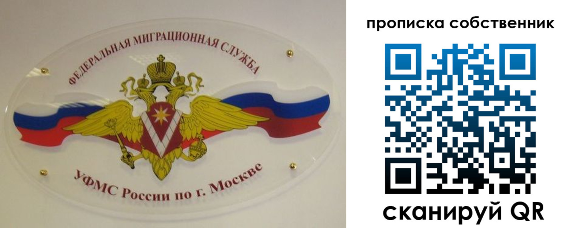 прописка 2025 в Борзе